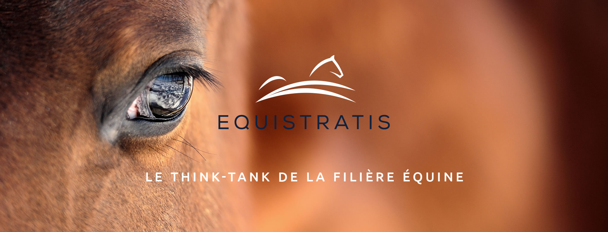 equistratis